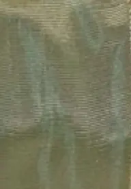 Screenshot 2025-05-02 at 4.21.21 p.m..webp