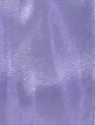 Screenshot 2025-05-03 at 1.01.40 p.m..webp