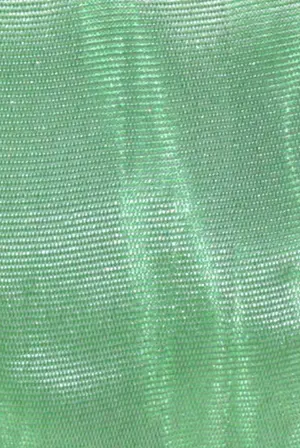 Screenshot 2025-05-05 at 10.42.41 a.m..webp