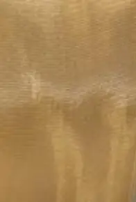 Screenshot 2025-05-03 at 1.01.18 p.m..webp