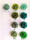 Listones Finos - Rosas Verde