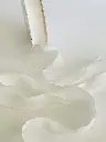 Listón Floral - Blanco