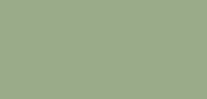 [1920] Satinado - Sage